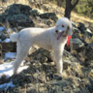 Meet your Posher, Eileen